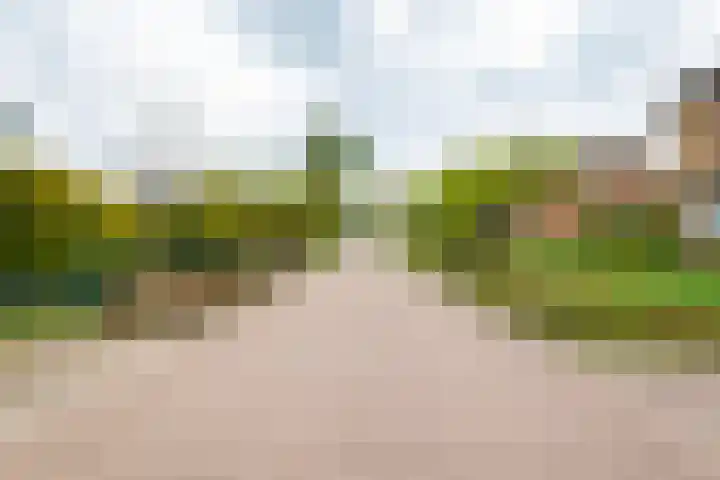 Acacialaan 2 Netterden thumbnail 37