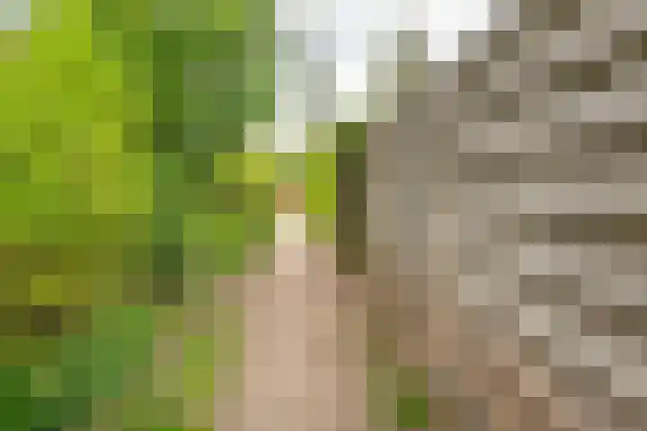 Acacialaan 2 Netterden thumbnail 38
