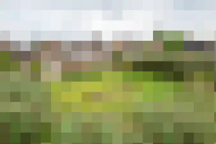 Acacialaan 2 Netterden thumbnail 4