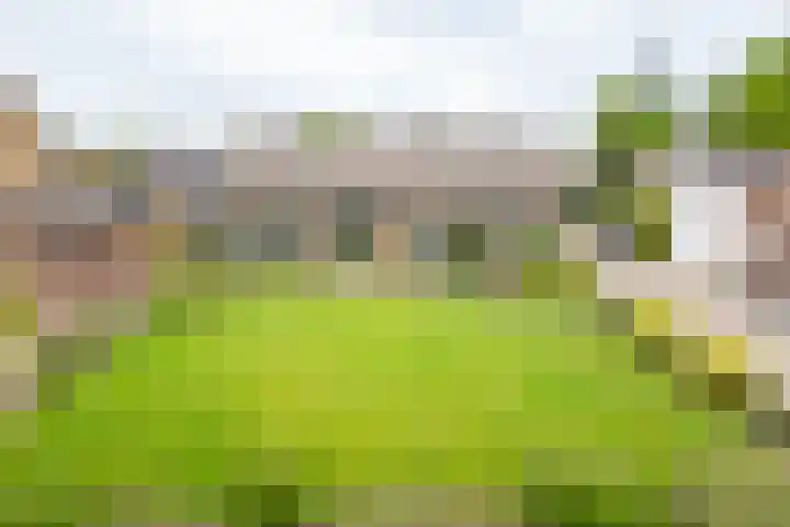 Acacialaan 2 Netterden thumbnail 44