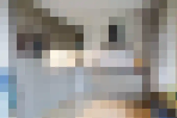 Acacialaan 21 Sauwerd thumbnail 14