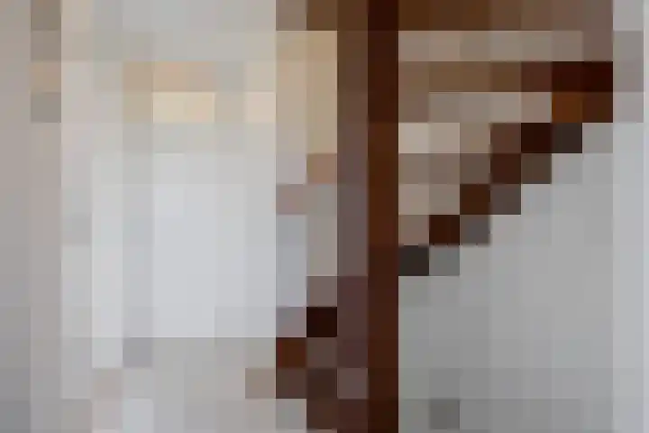 Acacialaan 21 Sauwerd thumbnail 17