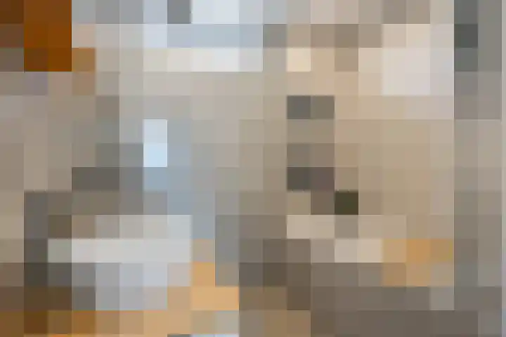 Acacialaan 21 Sauwerd thumbnail 25