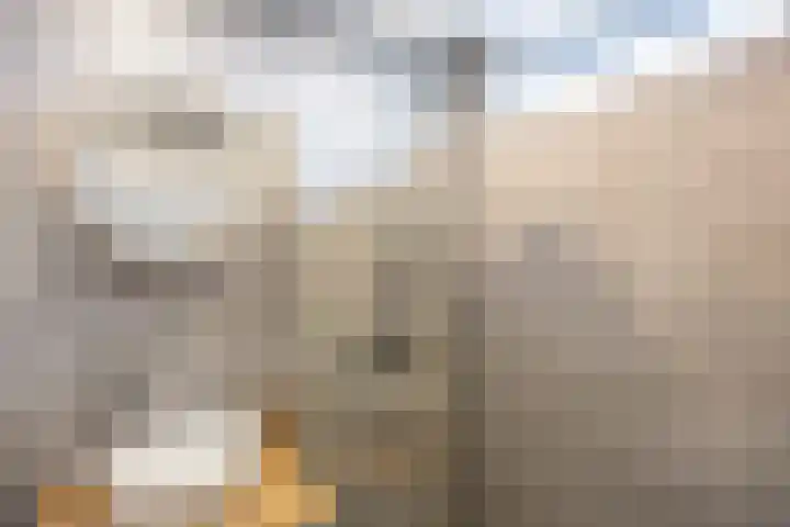 Acacialaan 21 Sauwerd thumbnail 27
