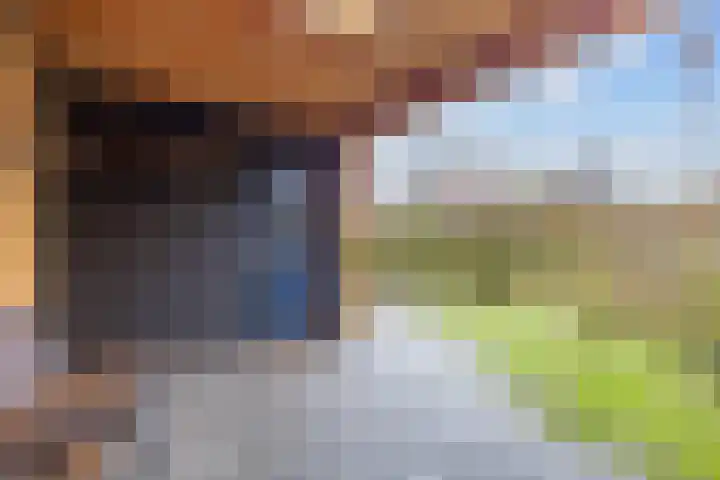 Acacialaan 21 Sauwerd thumbnail 34