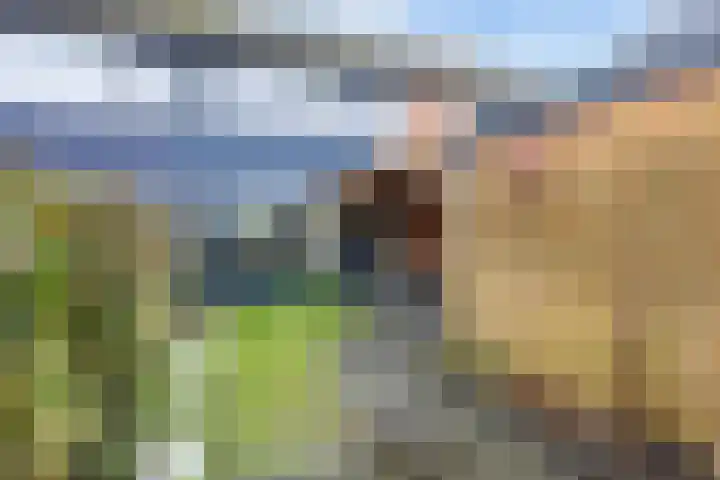 Acacialaan 21 Sauwerd thumbnail 36