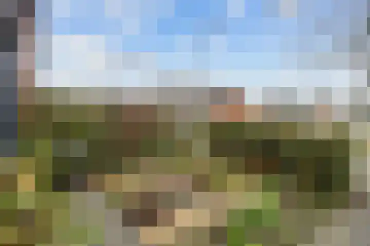 Acacialaan 21 Sauwerd thumbnail 5