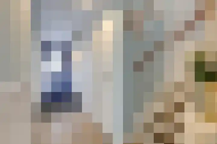 Acaciapad 16 Duiven thumbnail 10