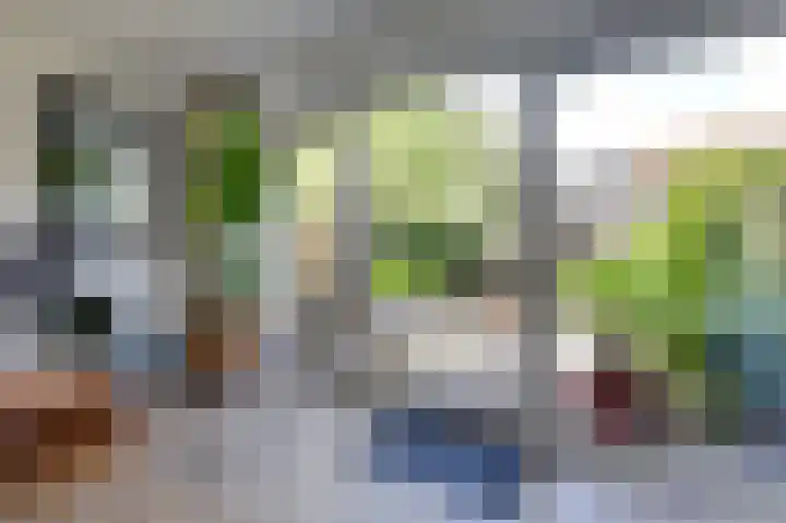Acaciapad 16 Duiven thumbnail 22