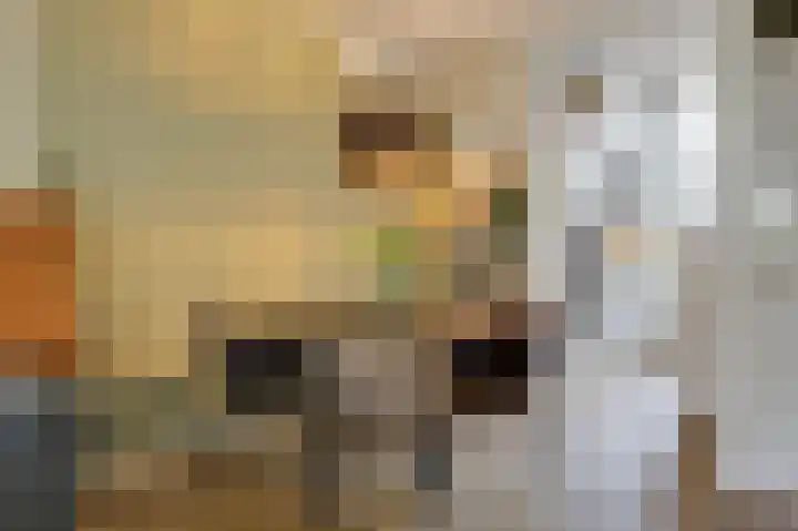 Acaciapad 16 Duiven thumbnail 23
