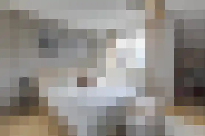 Acaciapad 16 Duiven thumbnail 36
