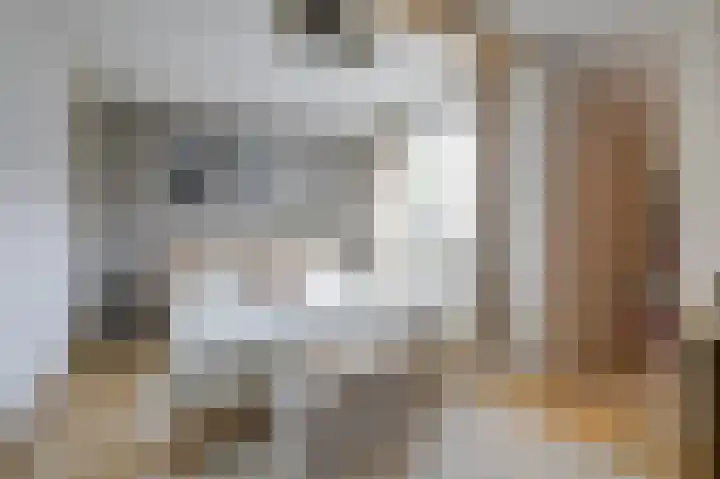 Acaciapad 16 Duiven thumbnail 38