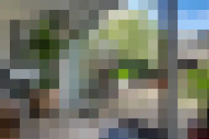 Acaciapad 16 Duiven thumbnail 51