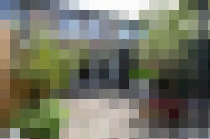 Acaciapad 16 Duiven thumbnail 52