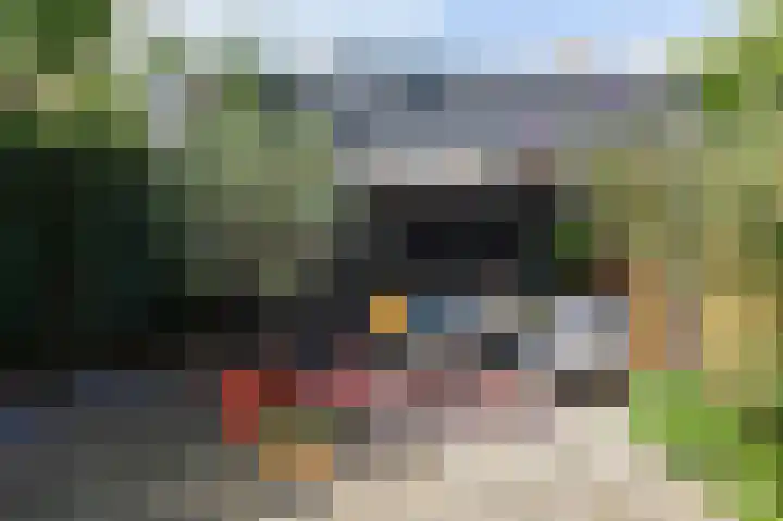 Acaciapad 16 Duiven thumbnail 56