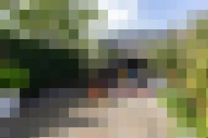 Acaciapad 16 Duiven thumbnail 57