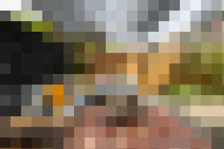 Acaciapad 16 Duiven thumbnail 59