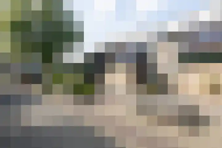 Acaciapad 16 Duiven thumbnail 6