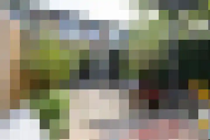 Acaciapad 16 Duiven thumbnail 61