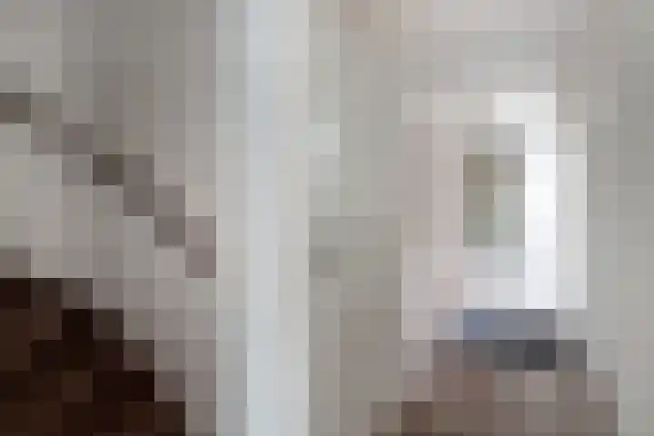Acaciapad 7 Duiven thumbnail 12