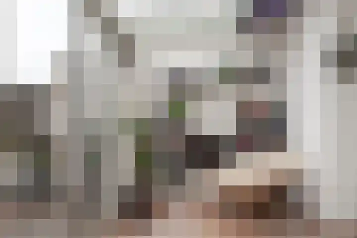 Acaciapad 7 Duiven thumbnail 26