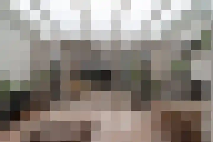 Acaciapad 7 Duiven thumbnail 27