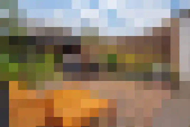Acaciapad 7 Duiven thumbnail 30