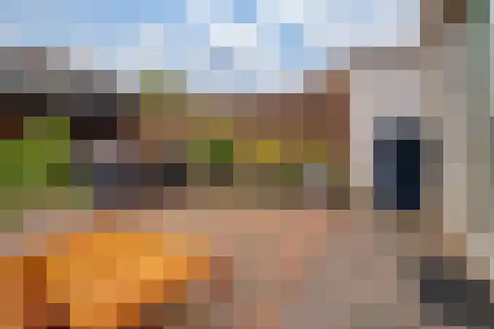 Acaciapad 7 Duiven thumbnail 31
