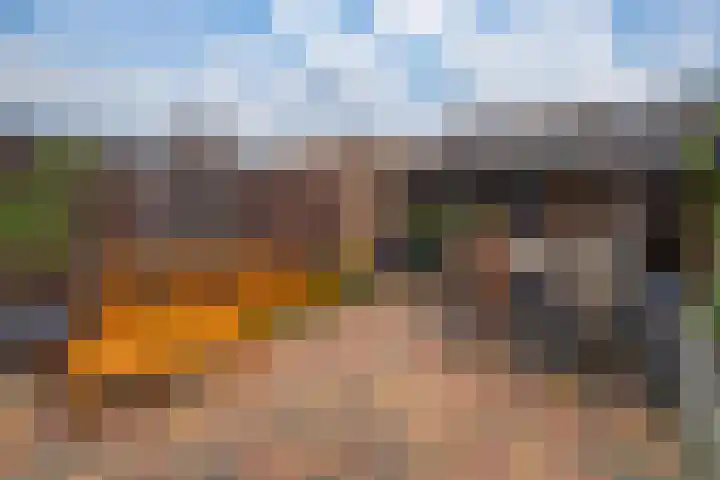 Acaciapad 7 Duiven thumbnail 32