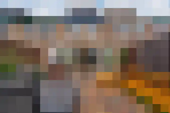 Acaciapad 7 Duiven thumbnail 33