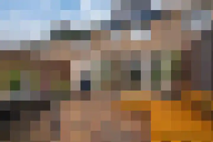 Acaciapad 7 Duiven thumbnail 35