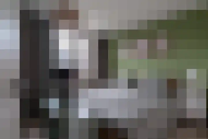 Acaciapad 7 Duiven thumbnail 37