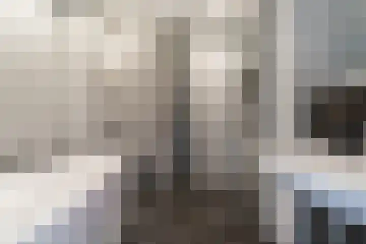 Acaciapad 7 Duiven thumbnail 4