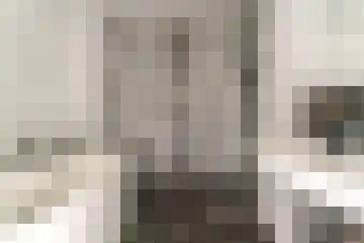 Acaciapad 7 Duiven thumbnail 41