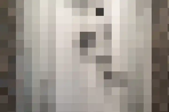 Acaciapad 7 Duiven thumbnail 43
