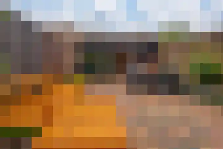 Acaciapad 7 Duiven thumbnail 5