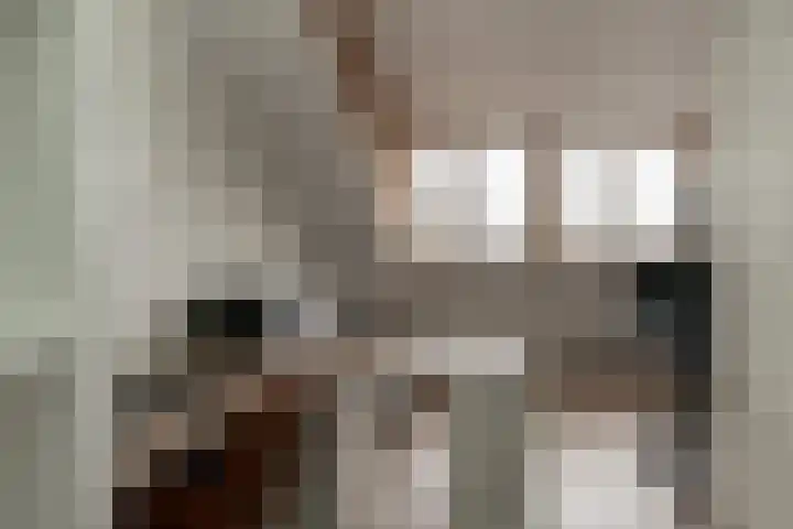 Acaciapad 7 Duiven thumbnail 52