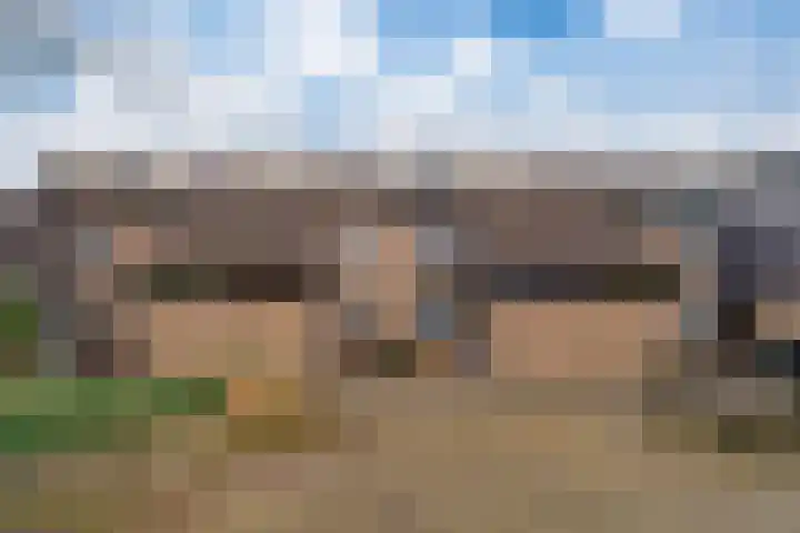 Acaciapad 7 Duiven thumbnail 6