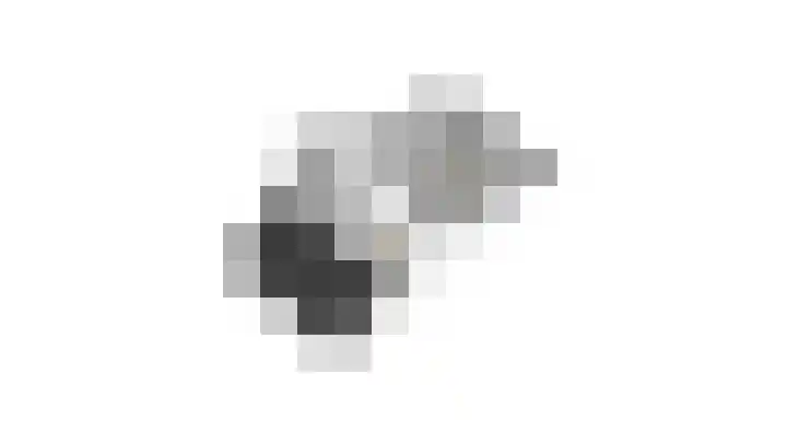 Acaciapad 7 Duiven thumbnail 62