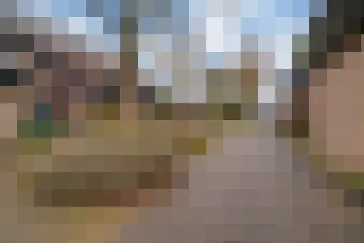 Acaciapad 7 Duiven thumbnail 8