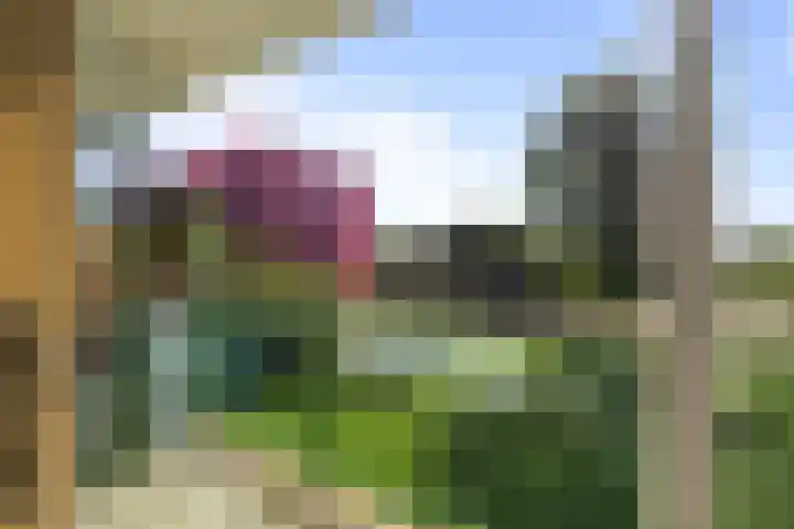 Acaciaplein 127 Schagen thumbnail 14