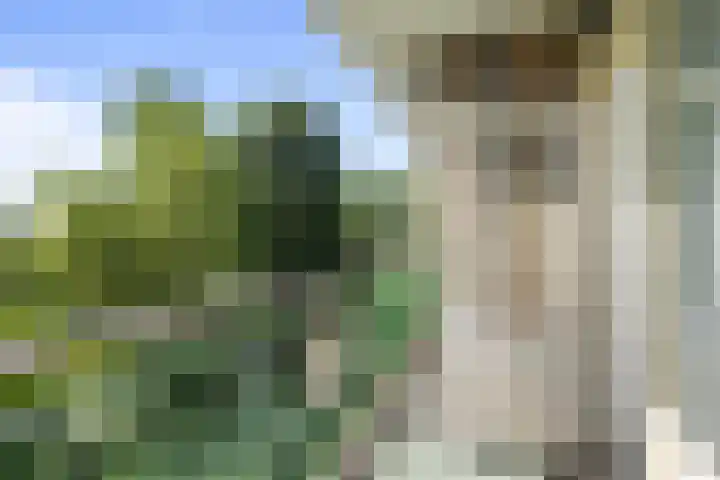 Acaciaplein 127 Schagen thumbnail 15