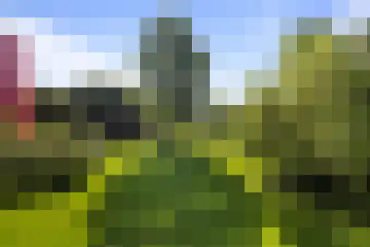 Acaciaplein 127 Schagen thumbnail 16