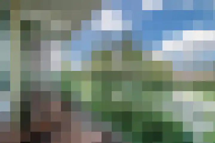 Acaciaplein 132 Schagen thumbnail 25