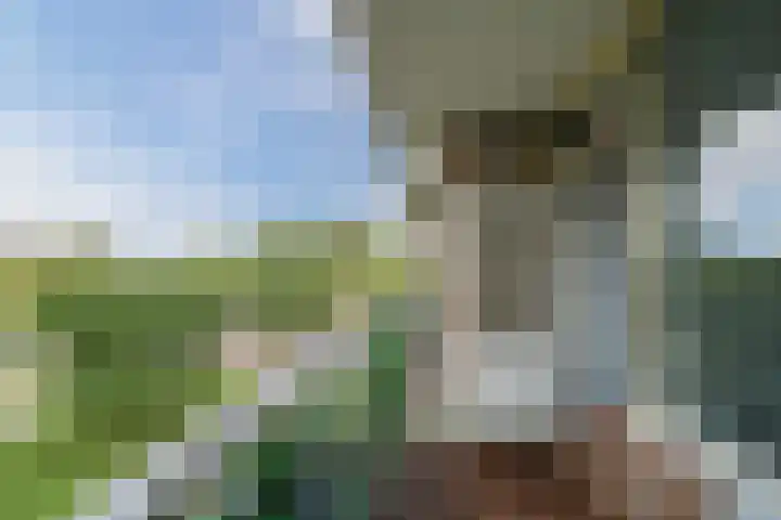 Acaciaplein 132 Schagen thumbnail 26