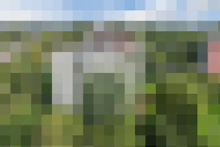 Acaciaplein 132 Schagen thumbnail 31