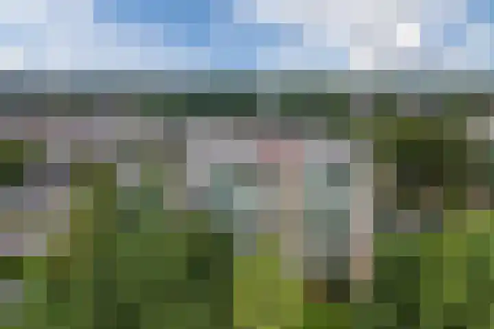 Acaciaplein 132 Schagen thumbnail 33
