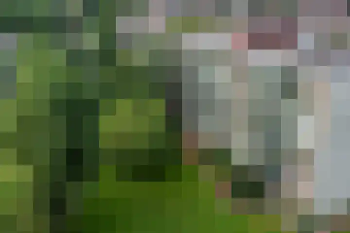 Acaciaplein 132 Schagen thumbnail 34