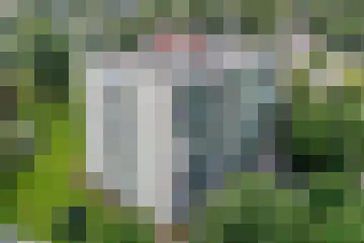 Acaciaplein 132 Schagen thumbnail 4