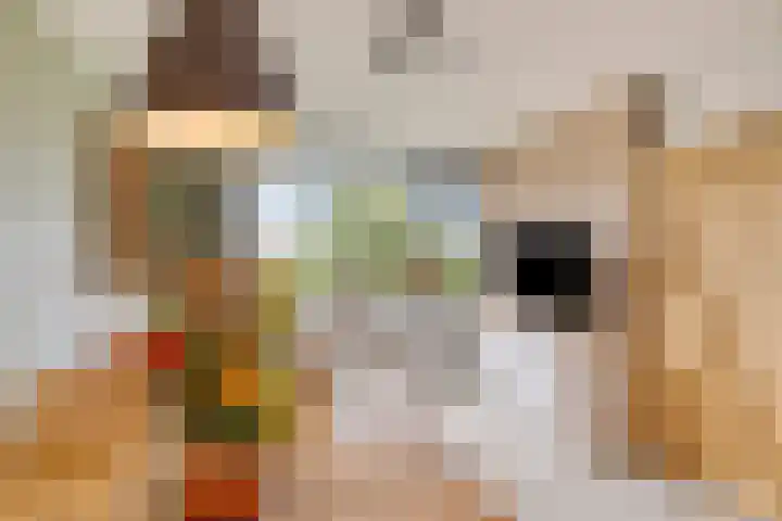 Acaciaplein 155 Schagen thumbnail 16